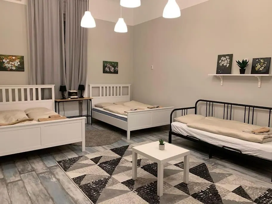 Spacious Apartment For Group In Centre Budapest