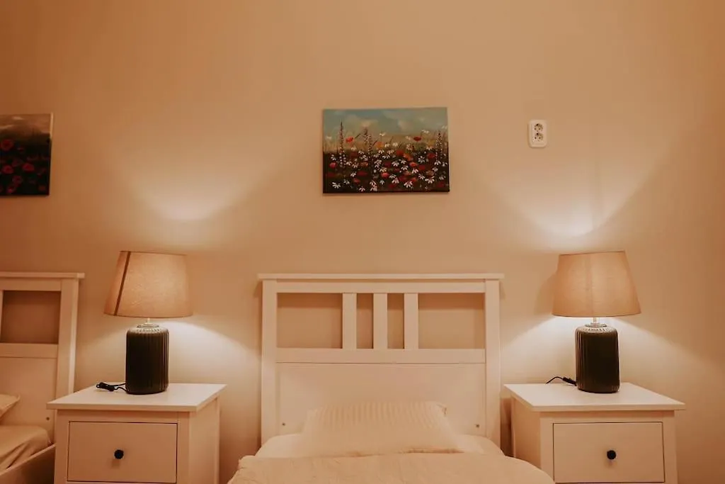 Spacious Apartment For Group In Centre Budapest Hungary